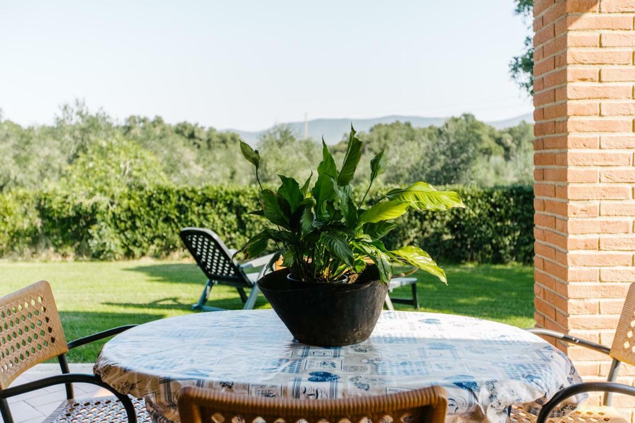 Agriturismo Casa Andreina Castiglione della Pescaia Kültér fotó