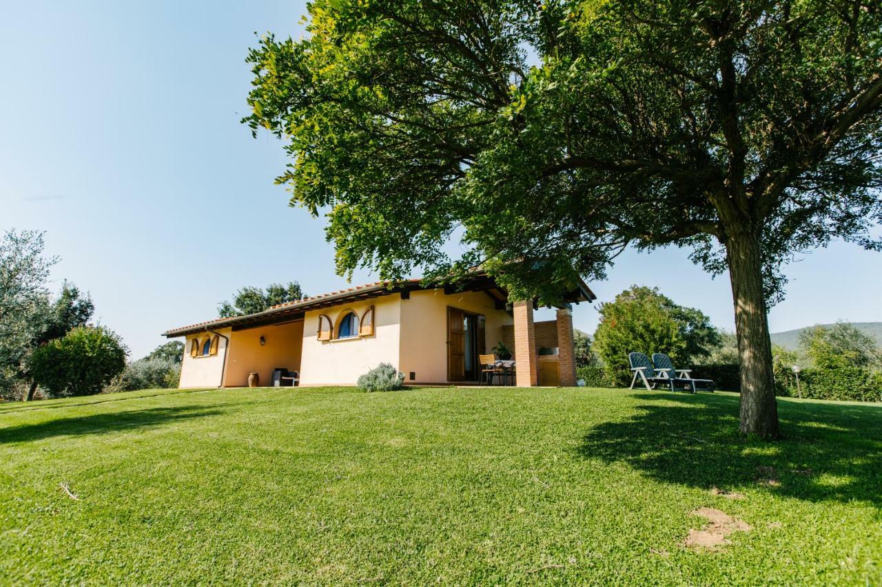 Agriturismo Casa Andreina Castiglione della Pescaia Kültér fotó