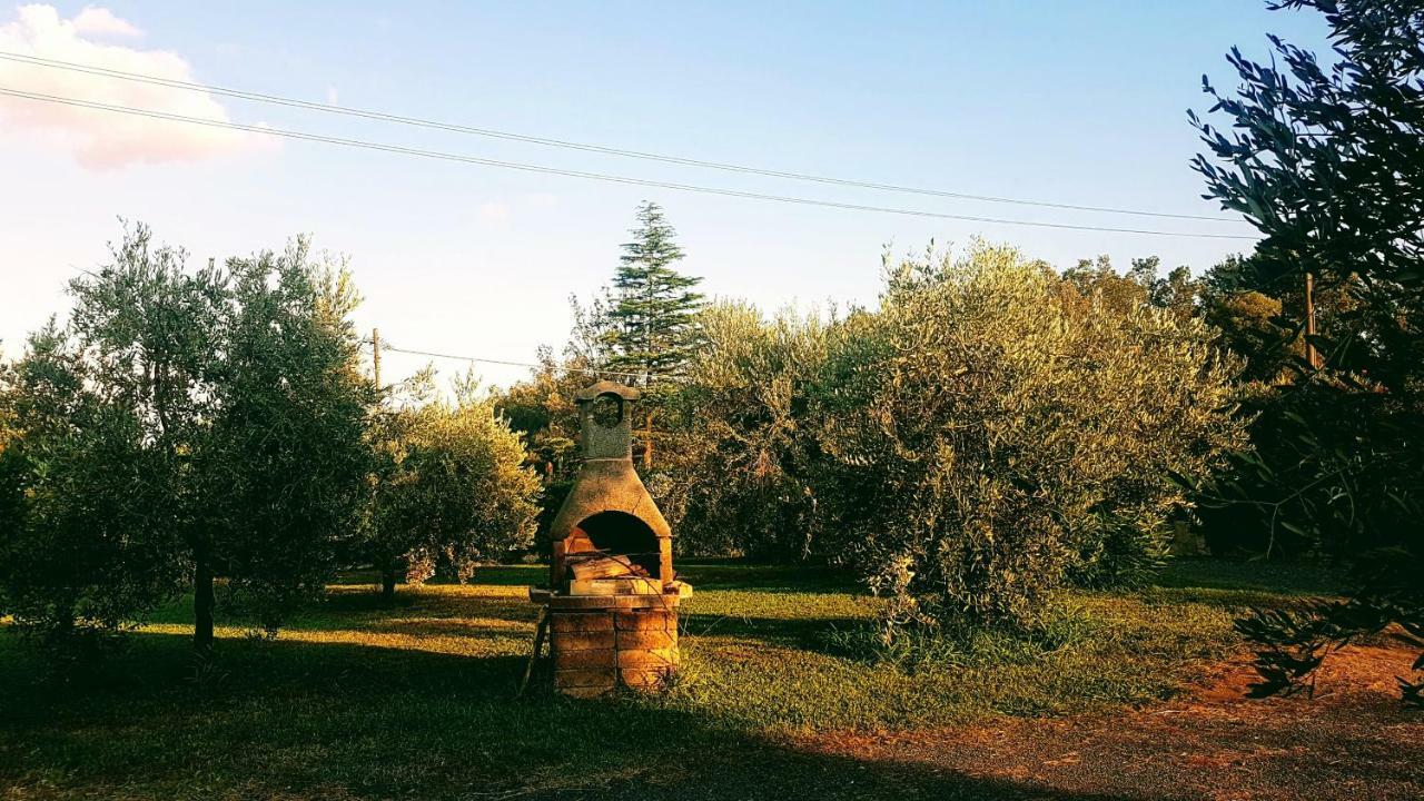 Agriturismo Casa Andreina Castiglione della Pescaia Kültér fotó