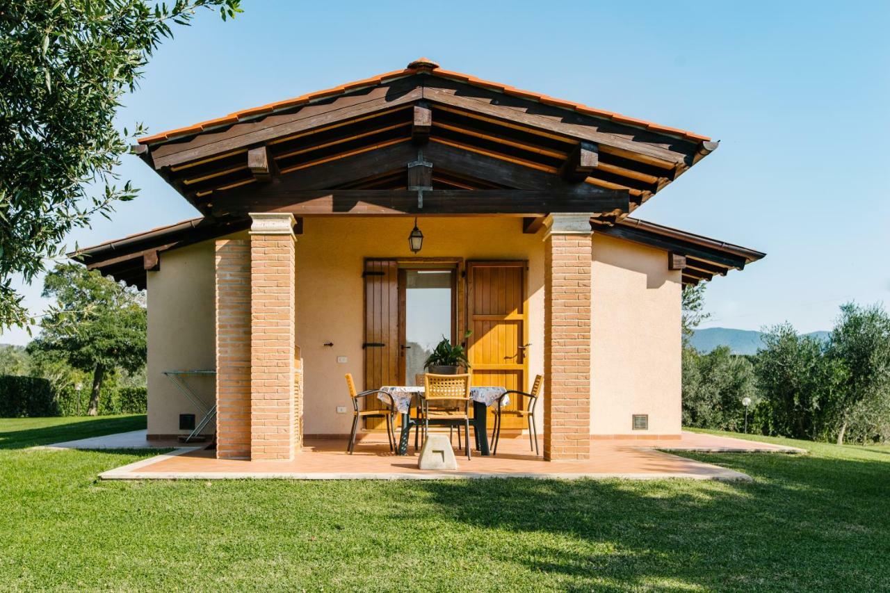 Agriturismo Casa Andreina Castiglione della Pescaia Kültér fotó